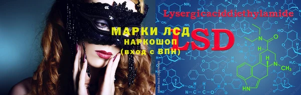 прущие крисы Надым