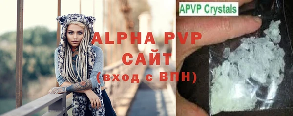 прущие крисы Надым